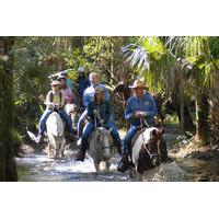 Horseback Riding at Forever Florida Eco-Reserve