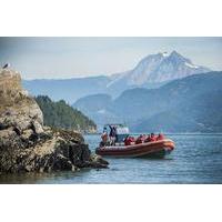 Howe Sound Sea Safari Cruise