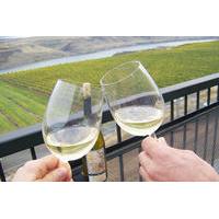 Hood River Wineries Half Day Tour