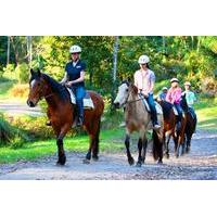 Horse Riding Tour at Glenworth Valley Outdoor Adventures