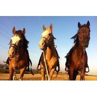 horseback riding one hour riverbed trail ride