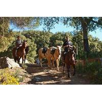 Horse Riding Tour of Grazalema Natural Park in Cadiz