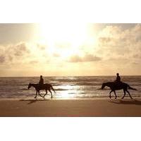 Horseback Beach Rides on Amelia Island