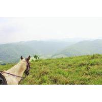 Horseback Riding to Flowers Camp Cave and Canoe Tour