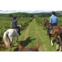 Horseback Riding in Puglia Near Bari