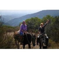 Horseback Riding Adventure in the Chilean Countryside