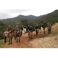 Horseback Riding and Ranch Day Trip with Lunch from Valparaiso
