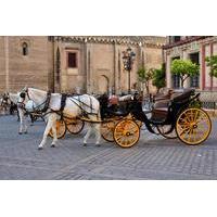 horse and carriage sightseeing tour in seville