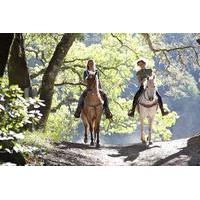 Horseback Riding from Livorno with Lunch