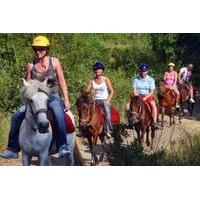 Horse Safari