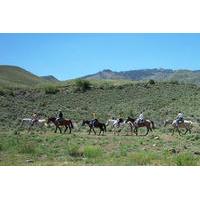 Horseback Riding Adventure from Reno