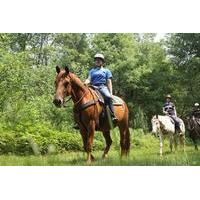Horseback Ride of Playa Serena