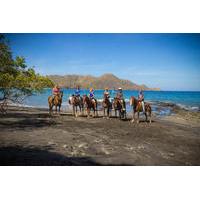 Horseback Riding at Diamante Eco Adventure Park