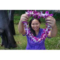 honolulu honeymoon airport lei greeting