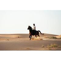 Horseback Riding in Dubai Desert