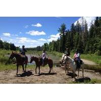 Horseback Trail Ride and Lesson