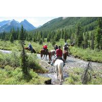 Horseback-Riding Tour in Banff with BBQ Lunch