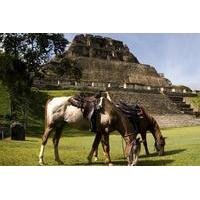 Horseback Riding Tour to Xunantunich