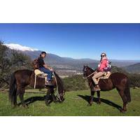 Horseback Riding in the Andes from Santiago