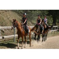 horse riding in tuscany for experienced and unexperienced riders half  ...