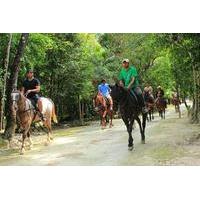 Horseback Riding Tour in the Tropical Jungle from Cancun