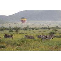 Hot Air Balloon Safari at Pilanesberg National Park