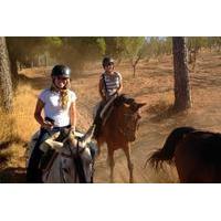 Horse Riding Excursion from Seville