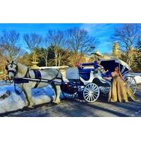 Horse Carriage Ride Central Park