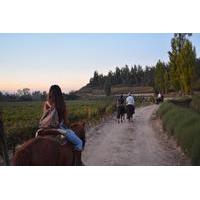 Horseback Wine Tour and Country Grill from Santiago