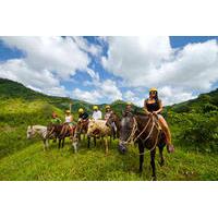 Horseback River Tour in Jaco