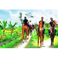 horse riding in ubud