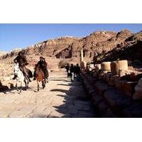 Horseriding Trip to Mount Aaron in Petra