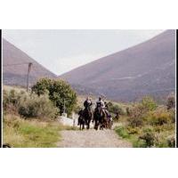 Horse Riding Excursions from Kalamata