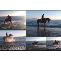 Horse Riding on Kalamata beach