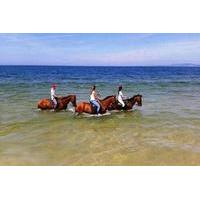 Horse Riding in Comporta