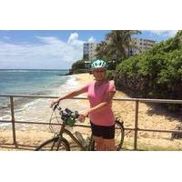 honolulu foodie tour by bike