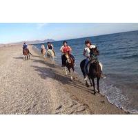 horseback riding tour in andalucia