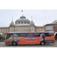 Hop-On-Hop-Off Dutch Intercity Tour from Amsterdam to The Hague