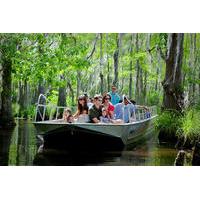 Honey Island Swamp Tour With Transport