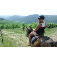 Horse Riding in Chianti Day Trip from Florence