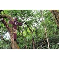 Hong Kong Small-Group Hiking Tour: From Modern City to Ancient Village