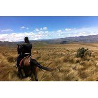 horseback riding at cayambe volcano from quito