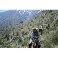 Horse Riding Tour in the Andes Foothills Including Picnic