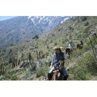 horse riding tour in the andes foothills including picnic