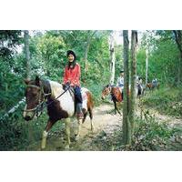 Horse Riding Tour from Cairns