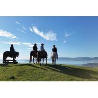 Horse Trekking from Rotorua