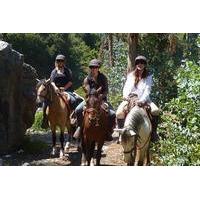 horseback riding tour to sacsayhuaman quenqo puka pucara and tambomach ...