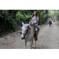 Horseback-Riding Tour from Paraty