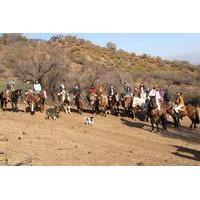 Horseback Riding Tours