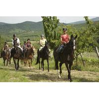Horse Riding in Tuscany for Experienced Riders: Full-day Trail Ride